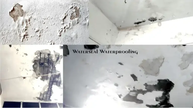 Interior Wall Waterproofing https://waterseal.in Damages-in-Home-From-Bathroom-Leakage